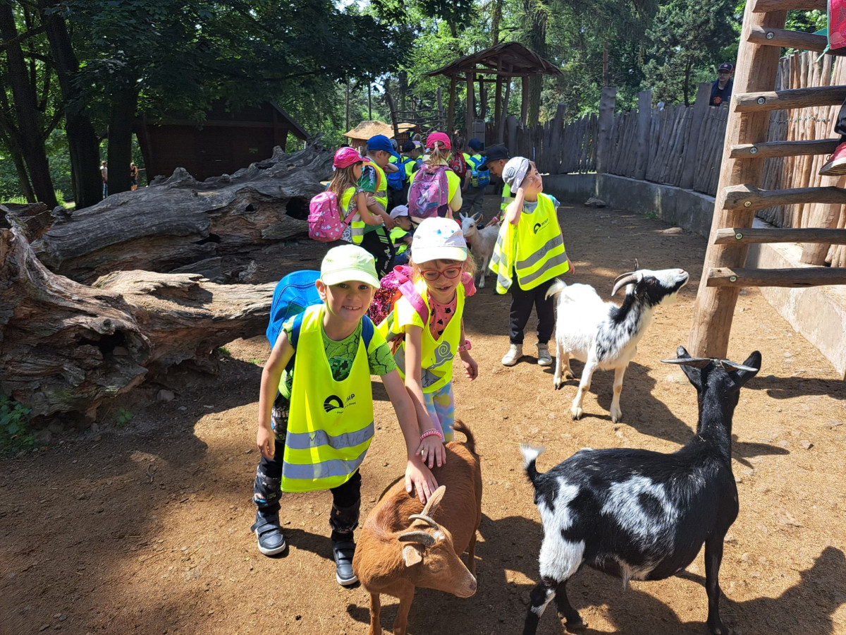 Školní výlet 2023 - Myšky a Koťata v ZOO Olomouc